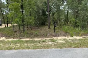 [Address not provided], Dunnellon, FL 34431 - Photo 1