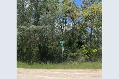 Sw 67 Lane & SW 131 Cir, Ocala, FL 34481 - Photo 3