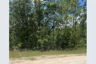 Sw 67 Lane & SW 131 Cir, Ocala, FL 34481 - Photo 1