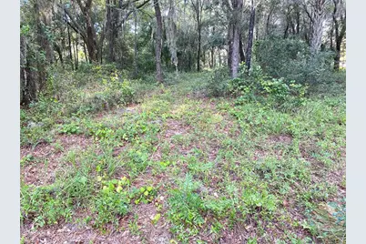 Lots 11.12 SW Shorewood Drive, Dunnellon, FL 34431 - Photo 9