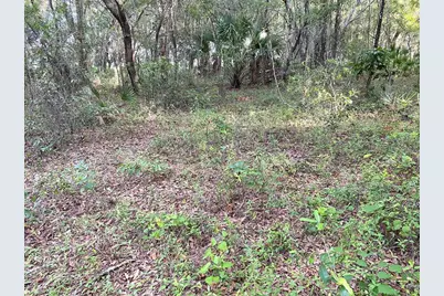 Lots 11.12 SW Shorewood Drive, Dunnellon, FL 34431 - Photo 11