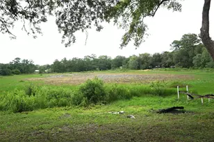5470 NE 165th Terrace Rd, Silver Springs, FL 34488 - Photo 25