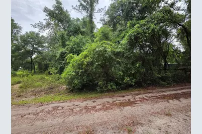 000 NE 138th Terrace, Fort Mc Coy, FL 32134 - Photo 3