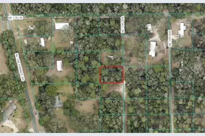 000 NE 138th Terrace, Fort Mc Coy, FL 32134 - Photo 9