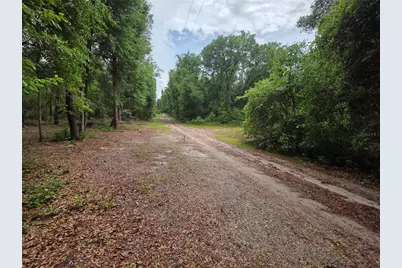 000 NE 138th Terrace, Fort Mc Coy, FL 32134 - Photo 5