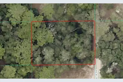 000 NE 138th Terrace, Fort Mc Coy, FL 32134 - Photo 7