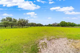 2285 W Hwy 318, Citra, FL 32113 - Photo 85