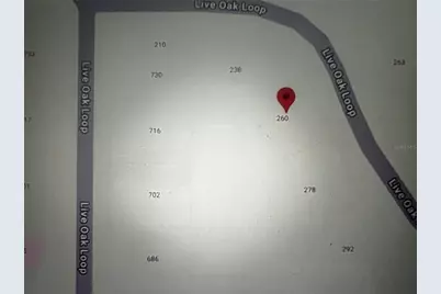 260 Live Oak Loop, Crescent City, FL 32112 - Photo 13