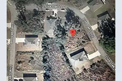 260 Live Oak Loop, Crescent City, FL 32112 - Photo 17