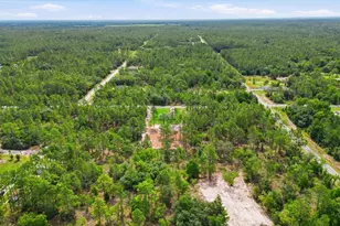 3266 SW Admiral Landing Dr, Dunnellon, FL 34431 - Photo 43