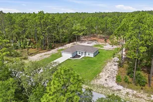 3266 SW Admiral Landing Dr, Dunnellon, FL 34431 - Photo 39