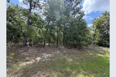 1 Hazelwood Drive, Homosassa, FL 34446 - Photo 7