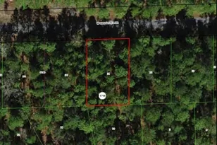 910 W Bannister Dr, Citrus Springs, FL 34434 - Photo 1