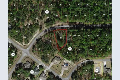 968 W Bannister Drive, Citrus Springs, FL 34434 - Photo 1