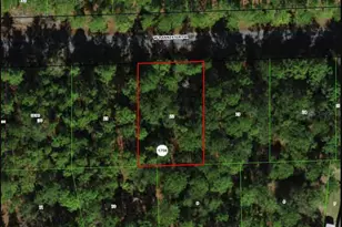898 W Bannister Dr, Citrus Springs, FL 34434 - Photo 1
