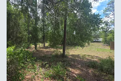 6090 NE 87 Terrace, Bronson, FL 32621 - Photo 11