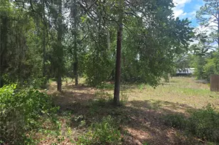 6090 NE 87th Terrace, Bronson, FL 32621 - Photo 11
