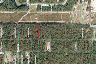 Tbd SW 150th St, Dunnellon, FL 34432 - Photo 1
