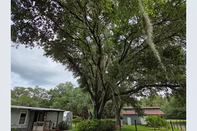 2450 SE 190th Terrace, Morriston, FL 32668 - Photo 13