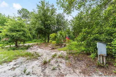 11895 SE 136th Court, Ocklawaha, FL 32179 - Photo 13