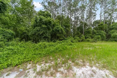 11895 SE 136th Court, Ocklawaha, FL 32179 - Photo 5