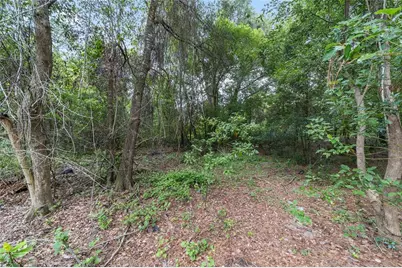 11895 SE 136th Court, Ocklawaha, FL 32179 - Photo 9