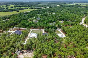 2058 Co Rd 243F, Wildwood, FL 34785 - Photo 43