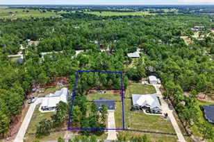 2058 Co Rd 243F, Wildwood, FL 34785 - Photo 41