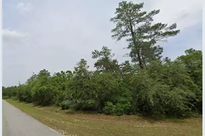Lot 19 31st Court, Ocala, FL 34473 - Photo 5