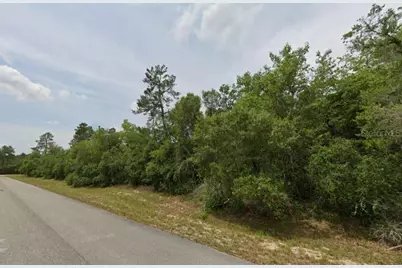 Lot 19 31st Court, Ocala, FL 34473 - Photo 7