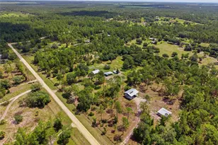 7391 SE 117th Terrace, Morriston, FL 32668 - Photo 43
