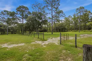 7391 SE 117th Terrace, Morriston, FL 32668 - Photo 37
