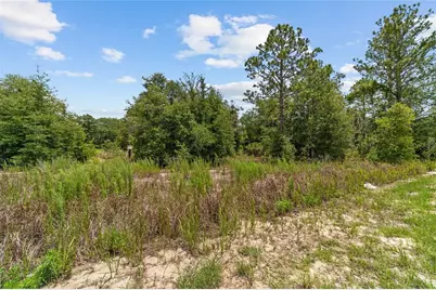 2499 SW 143rd Court, Ocala, FL 34481 - Photo 9