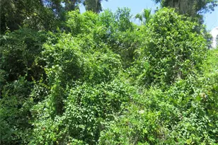 00 SE 142 Pl, Summerfield, FL 34491 - Photo 1