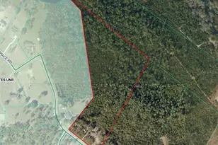 11005 SE 165th Terrace Rd, Ocklawaha, FL 32179 - Photo 25