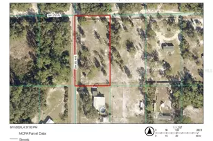 Tbd, Dunnellon, FL 34432 - Photo 1