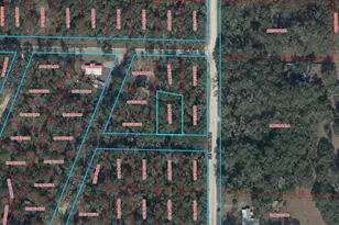 Tbd NE 7th St, Williston, FL 32696 - Photo 1