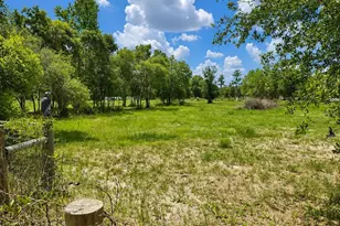 15355 SW 85th Ave, Dunnellon, FL 34432 - Photo 23