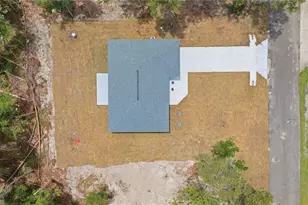 10 Bay Ln, Ocklawaha, FL 32179 - Photo 29