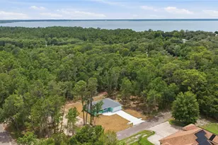 10 Bay Ln, Ocklawaha, FL 32179 - Photo 27