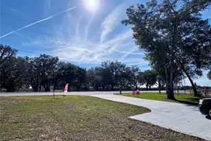 9337 SE Hwy 42, Summerfield, FL 34491 - Photo 33