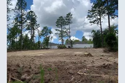 547 W Homeway Loop, Dunnellon, FL 34434 - Photo 3