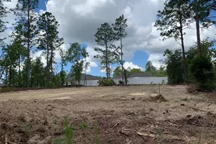 547 W Homeway Loop, Dunnellon, FL 34434 - Photo 3