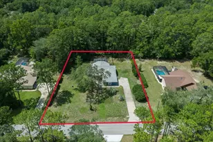 1694 W Pearson St, Hernando, FL 34442 - Photo 49