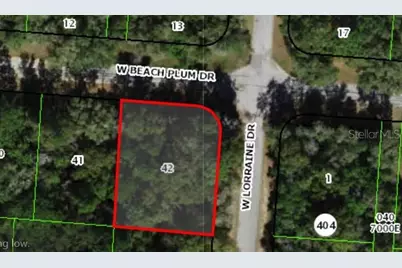 1920 W Beach Plum Drive, Citrus Springs, FL 34434 - Photo 1