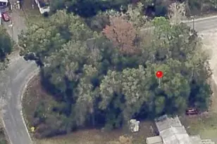 00 NE 172 Pl, Citra, FL 32113 - Photo 1