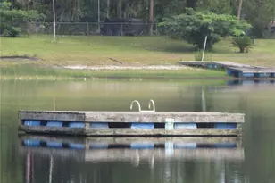 16849 SE 59th Pl, Ocklawaha, FL 32179 - Photo 31