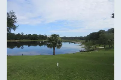 16849 SE 59th Place, Ocklawaha, FL 32179 - Photo 21