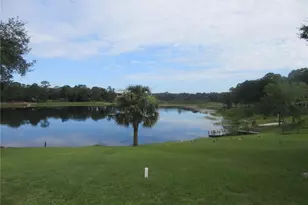 16849 SE 59th Pl, Ocklawaha, FL 32179 - Photo 21
