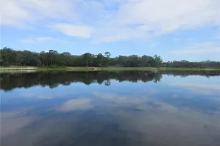 16849 SE 59th Pl, Ocklawaha, FL 32179 - Photo 29